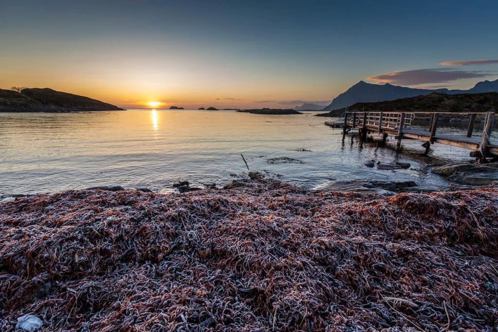 Lofoten - New Apartment, Close To Airport. Leknes Exteriör bild