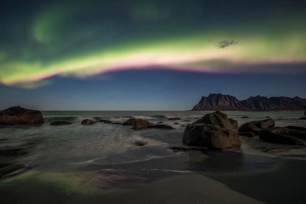 Lofoten - New Apartment, Close To Airport. Leknes Exteriör bild